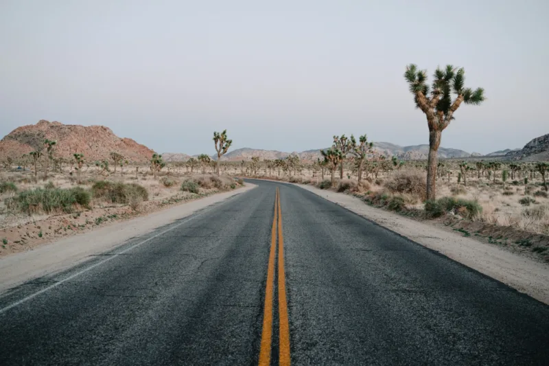 andrew-spencer-WCZb_FK8kwI-unsplash